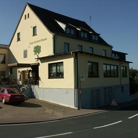 格鹿内鲍姆餐厅酒店 Leidersbach 外观 照片
